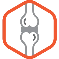 Nella ricetta del cibo per cani Alleva Natural abbiamo inserito anche glucosamina e condroitina, per favorire la salute delle articolazioni.