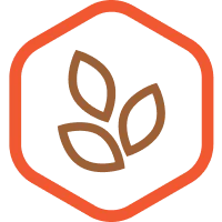 Il riso integrale fornisce un contenuto minimo di amido con un basso indice glicemico per regolare i livelli di zucchero nel sangue. Una dieta di questo tipo comporta un rilascio più lento di glucosio nell'apparato digerente, garantendo livelli di energia più duraturi.