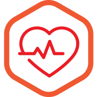 La taurina, invece, è un aminoacido che rafforza il cuore, la vista e il sistema riproduttivo. La L-carnitina stimola la trasformazione dei grassi in energia e garantisce un livello energetico ottimale per i cani attivi.