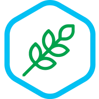 Pour arrêter la diarrhée, nous utilisons un complexe d'herbes ayurvédiques riches en tanins et autres composés : l'écorce de grenade (Punica granatum), l'écorce de l'arbre à gomme arabique (Acacia arabica) ; l'écorce d'Holarrhena (Holarrhena antidysenterica - appelée écorce de Connessi) ; les feuilles d'Andrographis (Andrographis panicoculate - appelée Chirette verte), les graines des fruits de Terminalia bellerica (appelée Terminalia bellerica - fruit de l'arbre de noix de Bedda).