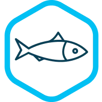 La forte concentration en acides gras, dont l'EPA et le DHA, ainsi que l'acide linoléique provenant des huiles de hareng et de tournesol, prend soin de la santé de la peau.