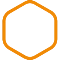 Fornisce minerali come zinco, selenio e fosforo, necessari per vari processi fisiologici.
