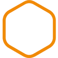 Fornisce minerali come zinco e ferro, necessari per varie funzioni corporee.